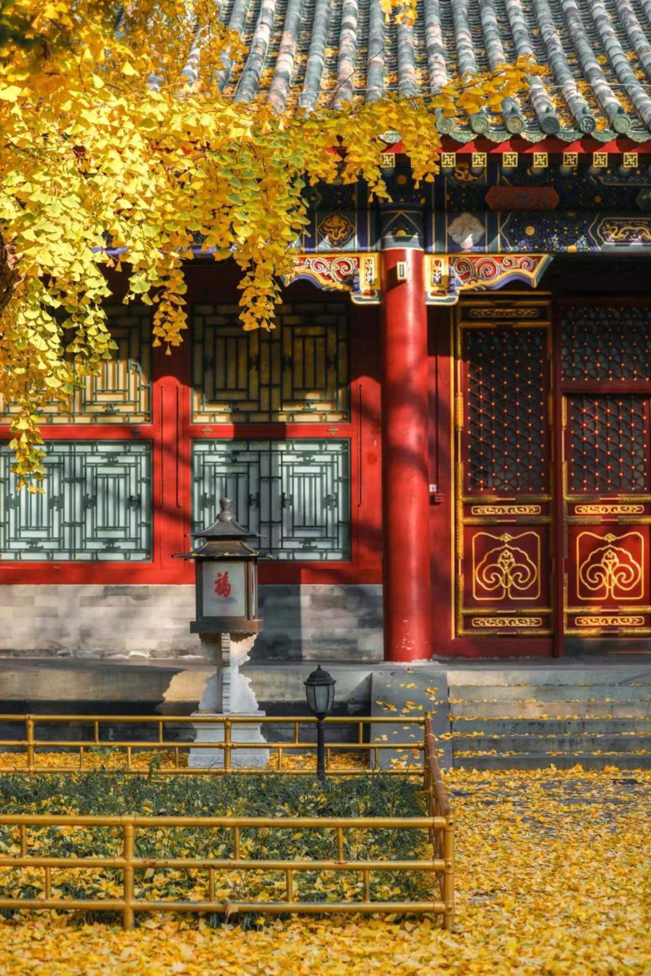 בייג'ינג Nostalgia Hotel Near Prince Gong'S Mansion- Beihai Park, Tian'Anmen Square, Nanluoguxiang Hutong, Huguosi Hutong Snack Street, 5 Minutes Walk Away From Ping'Anli Subway Station, Free Ice Cream And Laundry Service,English Communication Well מראה חיצוני תמונה